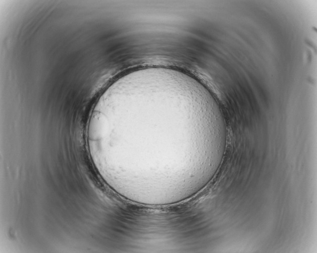X0000099320347200805020758