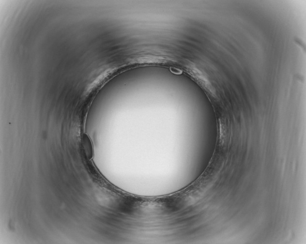 X0000099320348200805020758