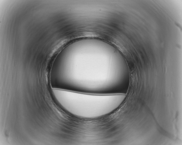 X0000099320350200805020758
