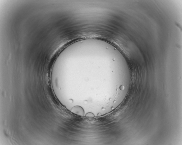 X0000099320351200805020758
