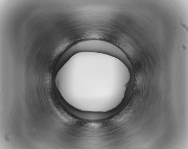 X0000099320352200805020758