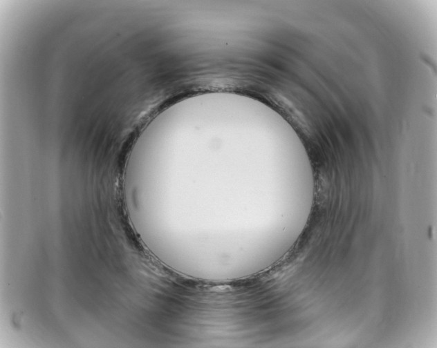 X0000099320355200805020758