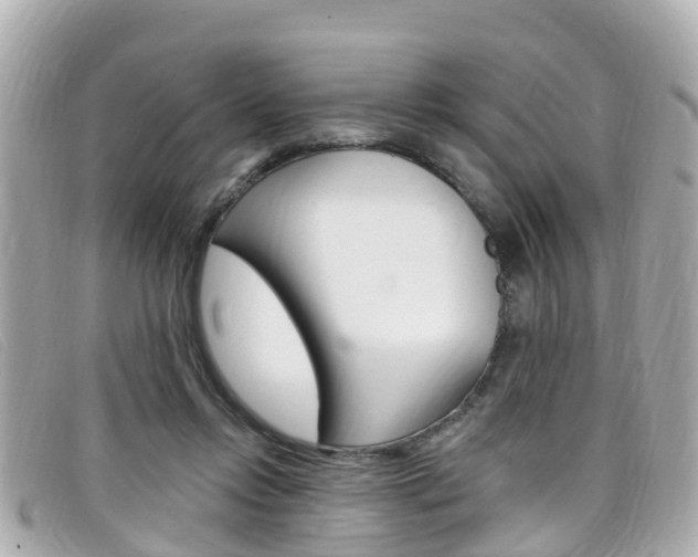 X0000099320358200805020758