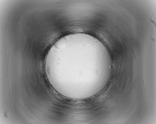 X0000099320359200805020758