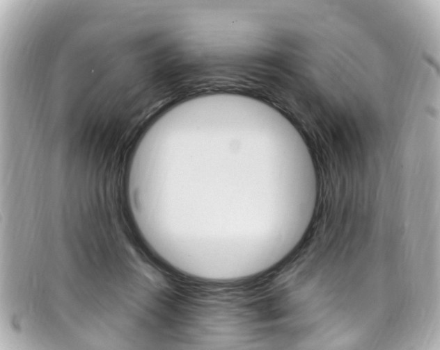 X0000099320360200805020758