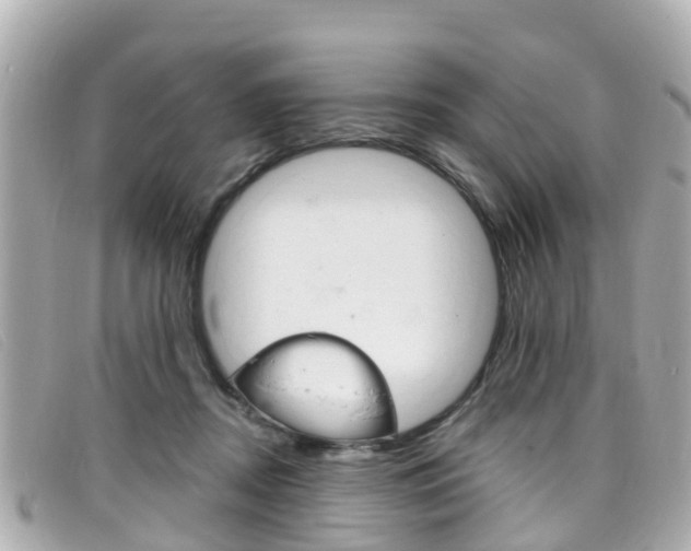 X0000099320362200805020758