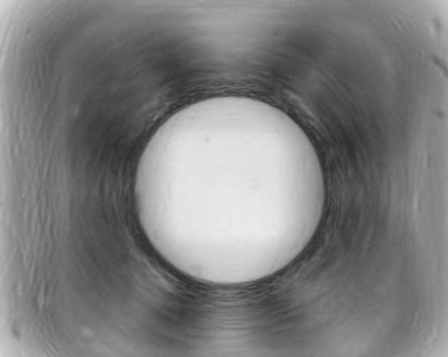 X0000099320368200805020758