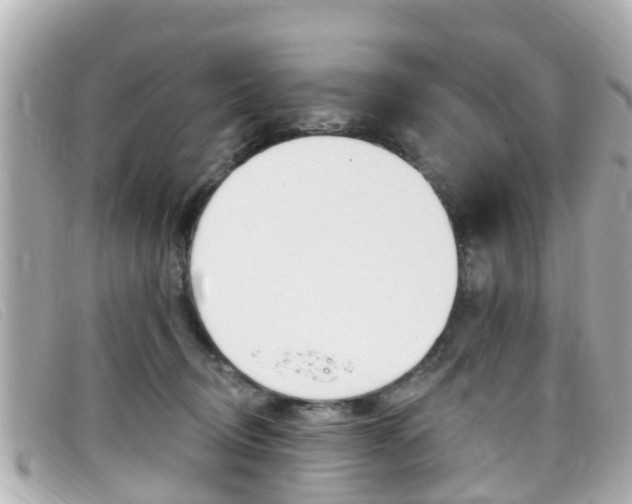 X0000099320370200805020758