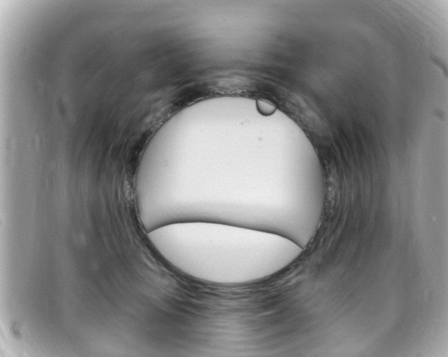 X0000099320371200805020758