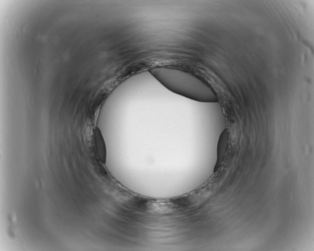 X0000099320372200805020758