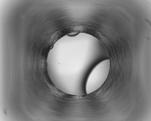 X0000099320379200805020758