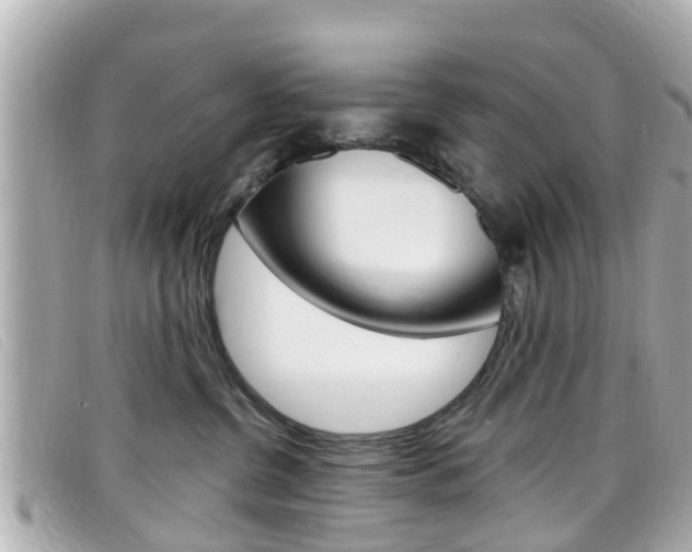 X0000099320380200805020758