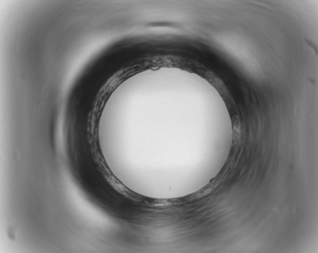 X0000099320381200805020758