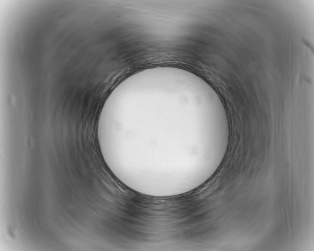 X0000099320384200805020758