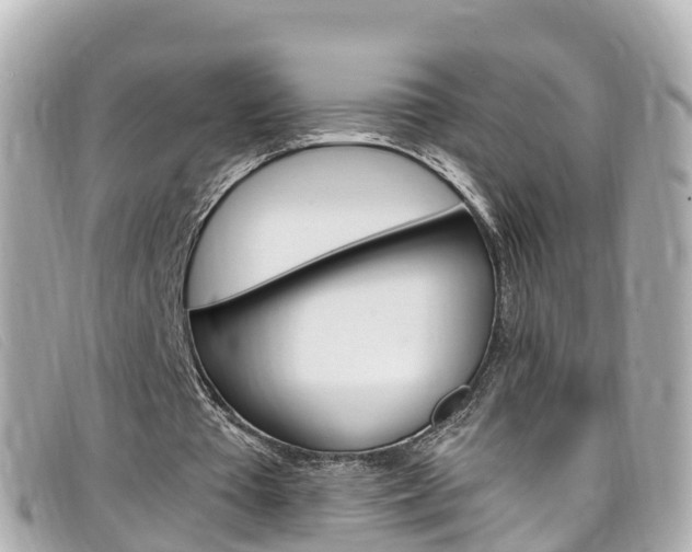 X0000099320385200805020758