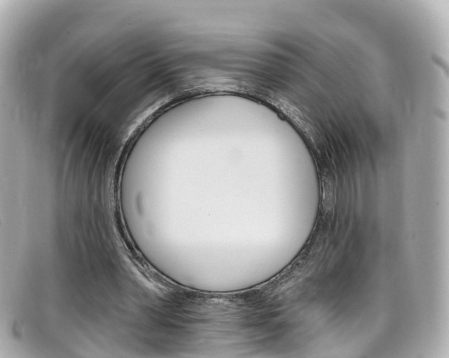 X0000099320390200805020757