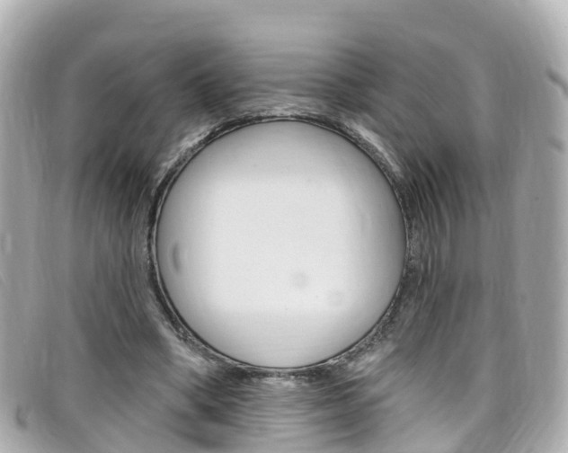 X0000099320394200805020757