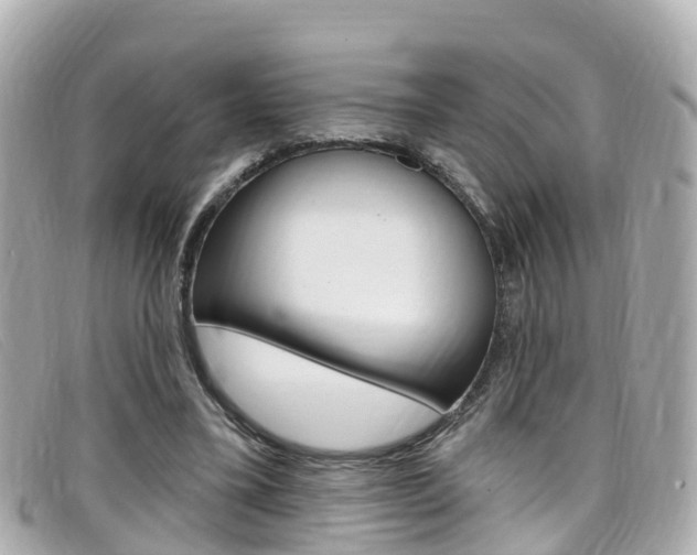 X0000099320395200805020757
