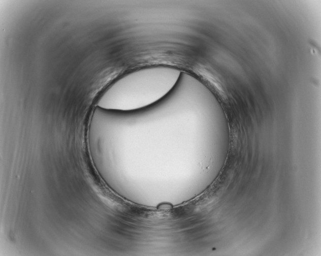 X0000099320398200805020757
