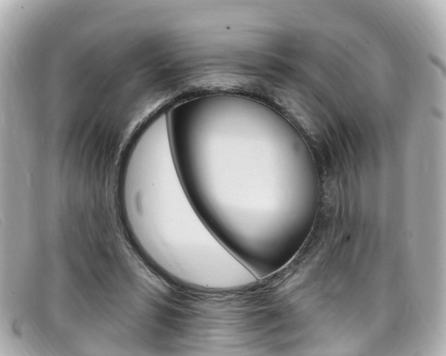 X0000099320399200805020757