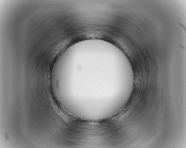 X0000099320402200805020757