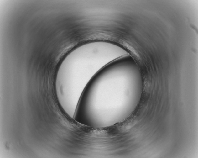X0000099320403200805020757