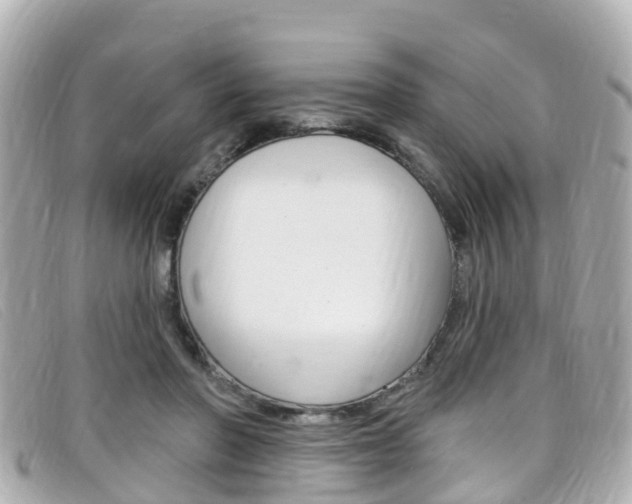 X0000099320406200805020757