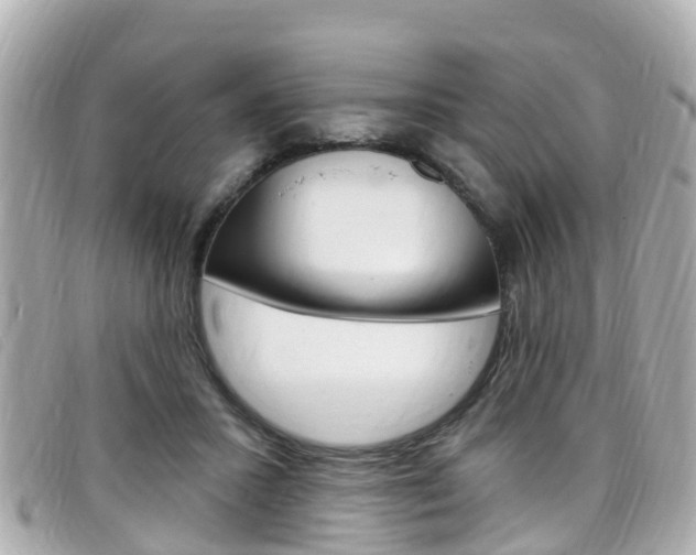 X0000099320407200805020757
