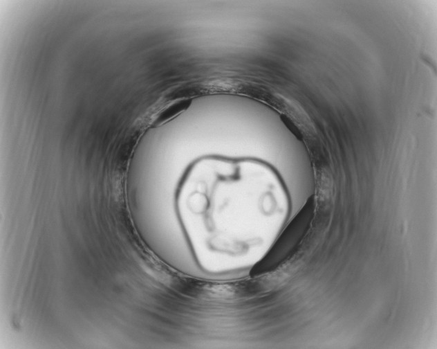 X0000099320409200805020757