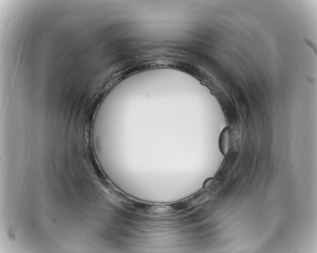 X0000099320410200805020757