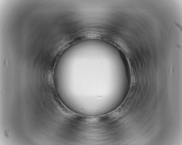 X0000099320411200805020757