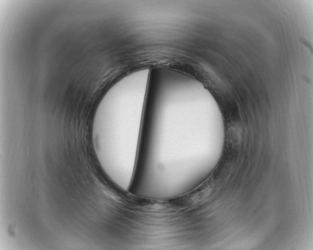 X0000099320412200805020757