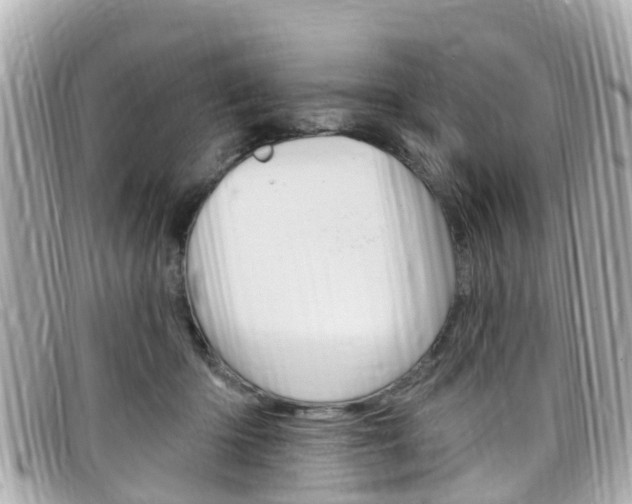 X0000099320414200805020757