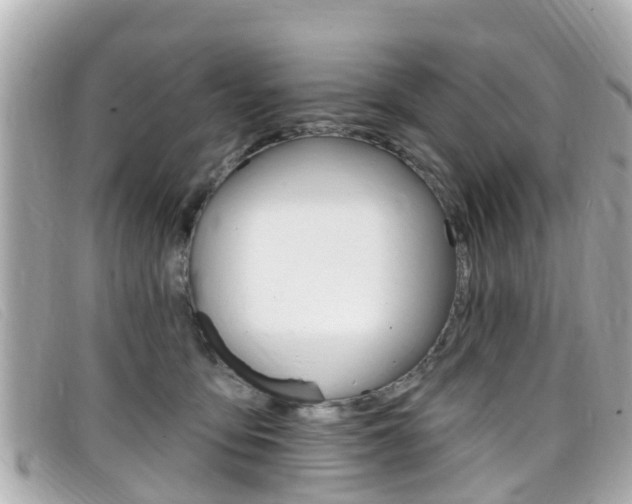 X0000099320419200805020757