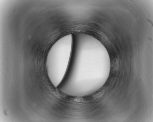 X0000099320420200805020757