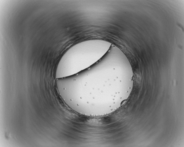 X0000099320422200805020757