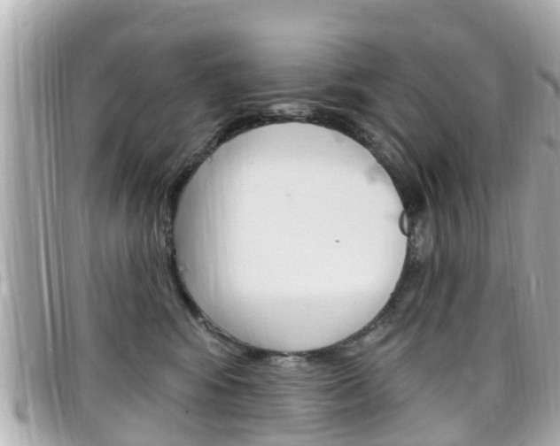 X0000099320424200805020757