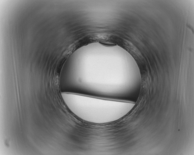 X0000099320425200805020757