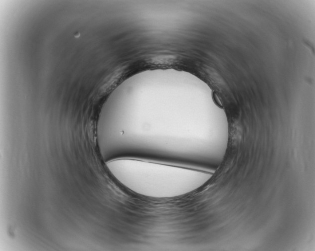 X0000099320428200805020757