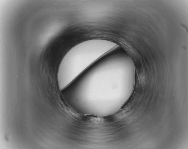X0000099320429200805020757
