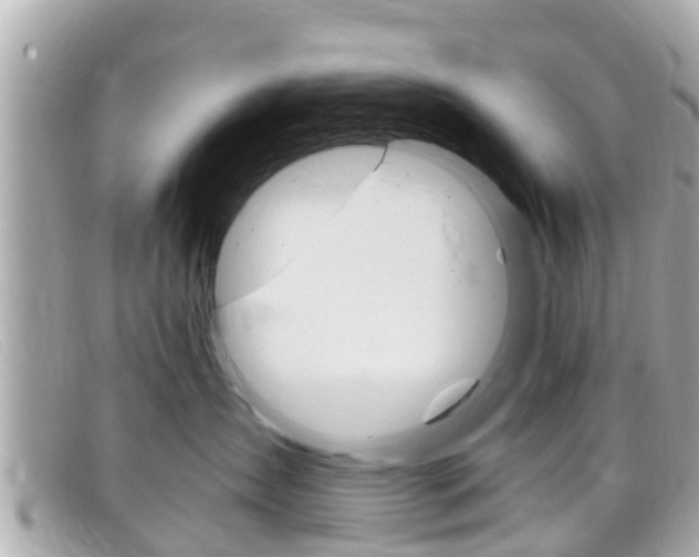 X0000099320431200805020757