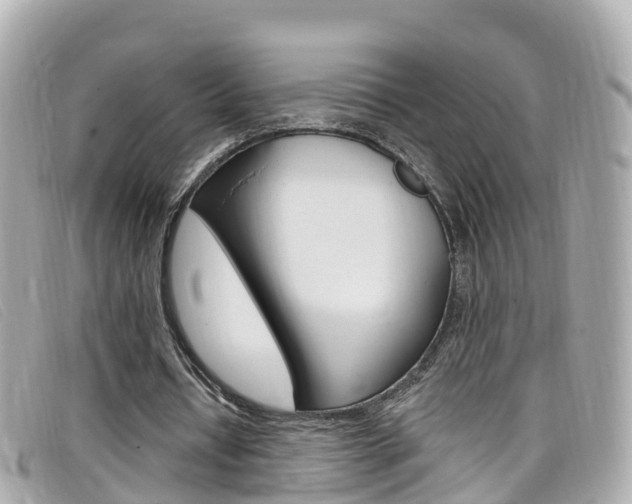 X0000099320434200805020756
