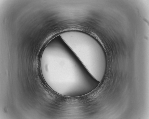 X0000099320435200805020756