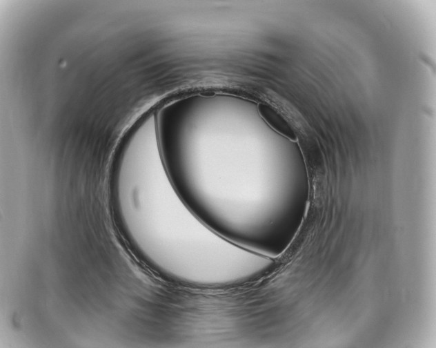 X0000099320436200805020756