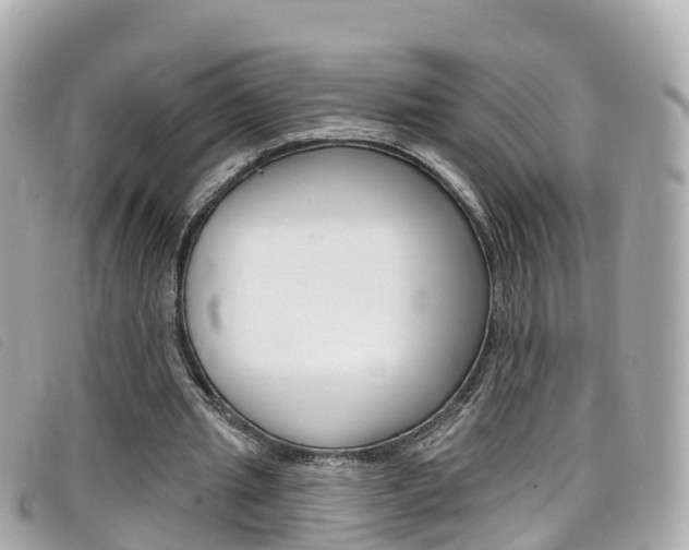 X0000099320437200805020756