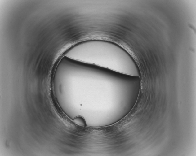 X0000099320438200805020756