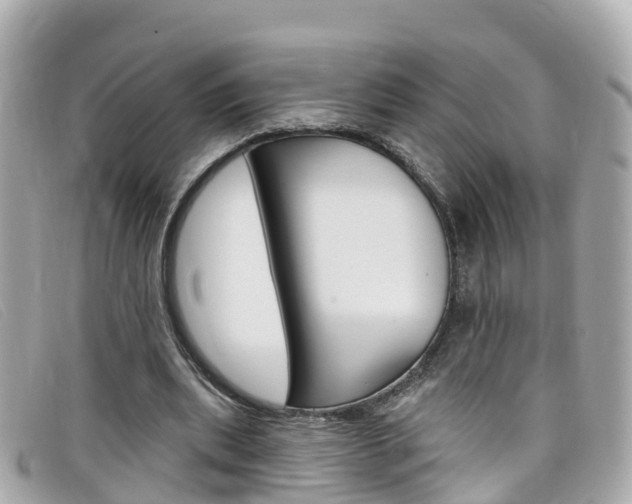 X0000099320439200805020756