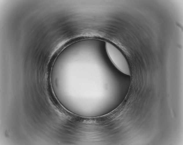 X0000099320440200805020756