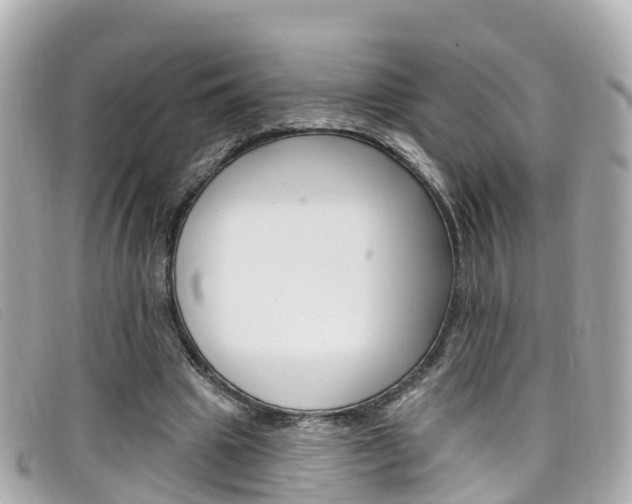 X0000099320441200805020756