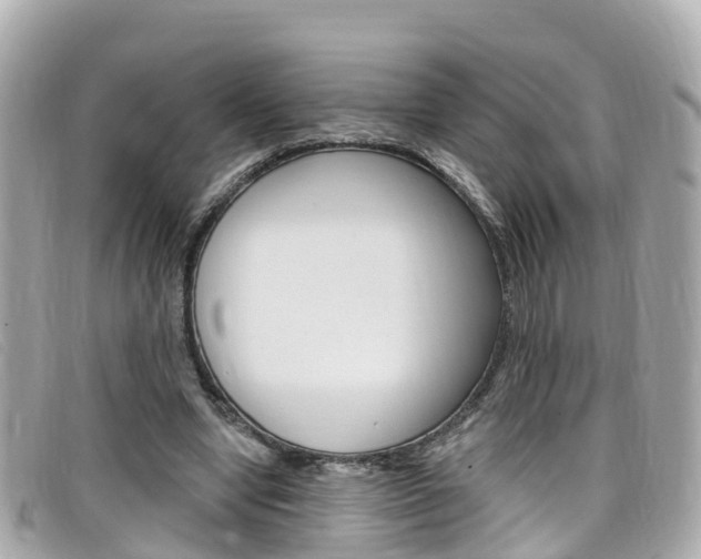 X0000099320442200805020756